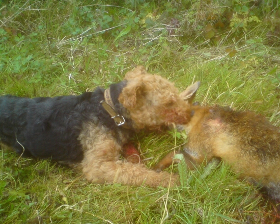 Caro jej nedal šancu