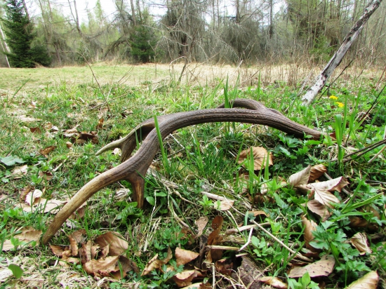 mladý 14-torák pod cestou