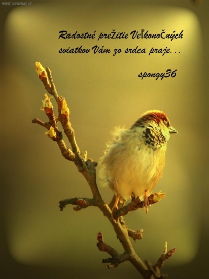 Nefoť ma som strapatý!!!