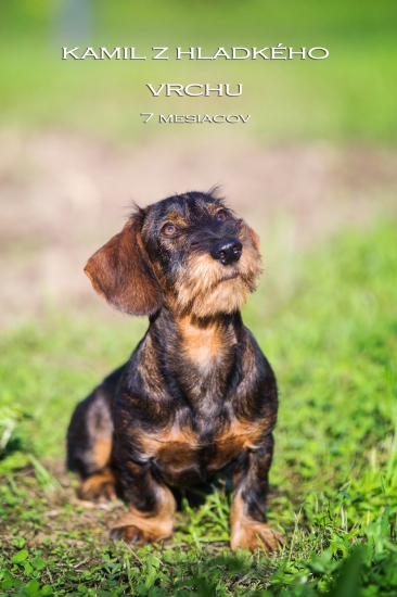 Kamil z Hladkého vrchu vek: 7 mesiacov