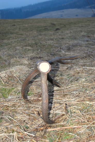 minulého týždňa v piatok