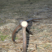 minulého týždňa v piatok