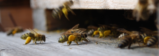 prvo aprílové prelety