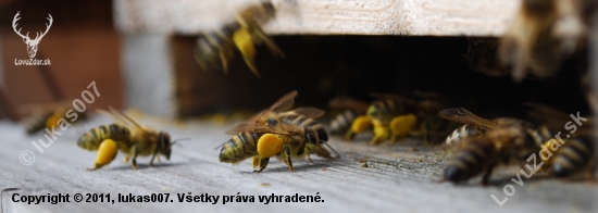 prvo aprílové prelety