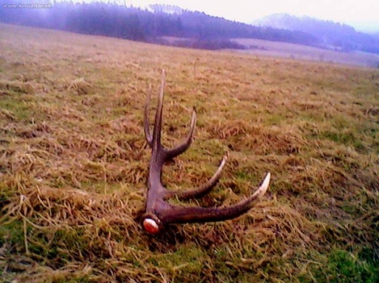 spomienková na rok 2009