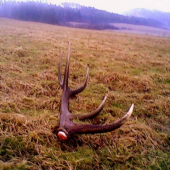 spomienková na rok 2009