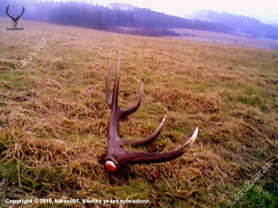spomienková na rok 2009