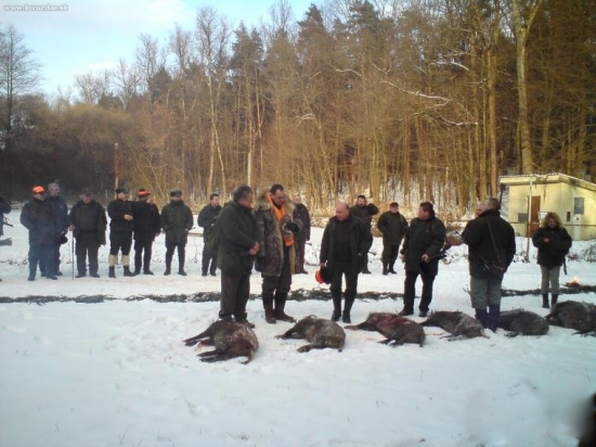 Cemjata 2010 - 7 kusov diviačej (najväčši kanec chýba)