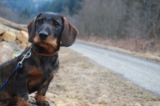 zahľadená a unavená