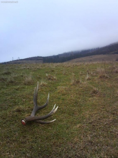 môj prvý...dnes ráno