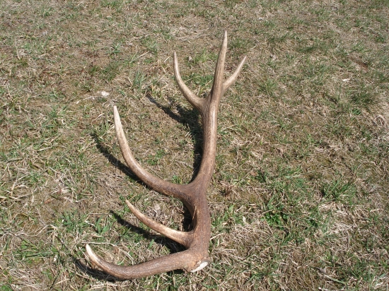 Jeden z tých mladších