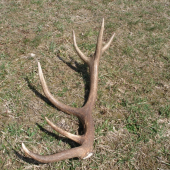 Jeden z tých mladších