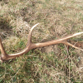 Cestou na brigádu ...