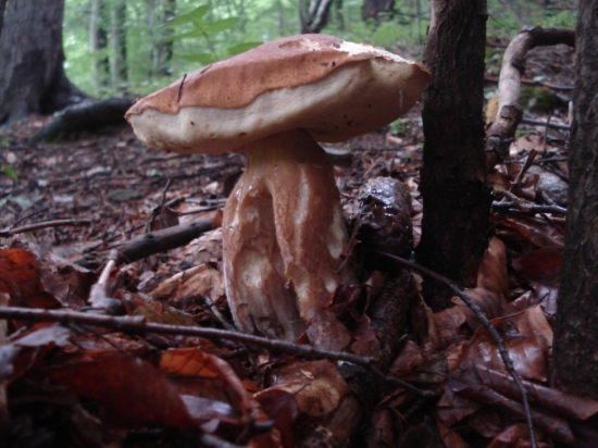 Konečne to začalo ...