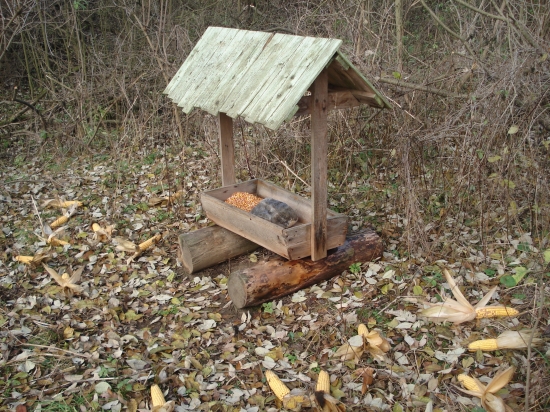 Pravidelné doplnenie ...