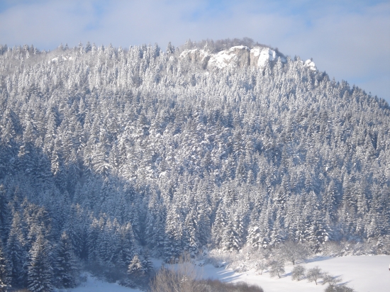 Hrdoš v zimnom šate