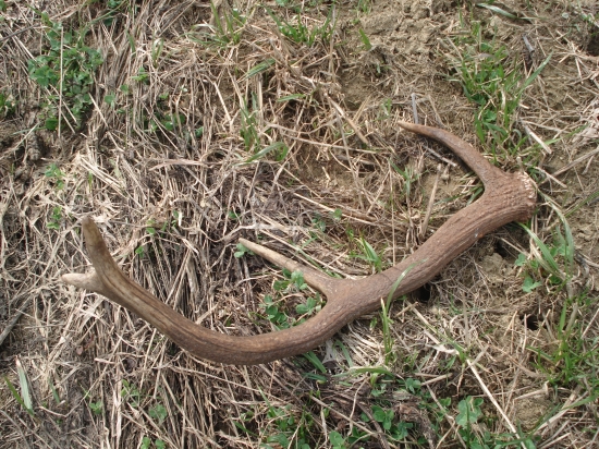 Takto si tam ležal ...