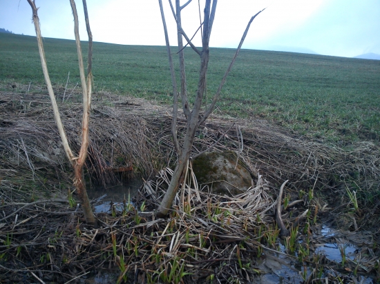 Zhodárske zátišie