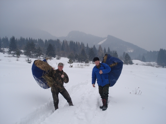 Cestou ku kŕmidlu ...