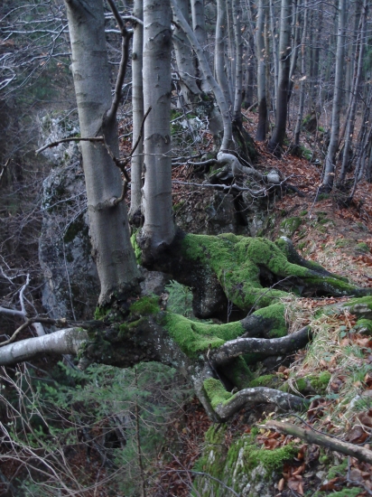 Umenie a nezlomná vôľa žiť, nepoddať sa !