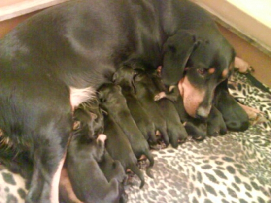 Šťastne sme sa narodili 13.apríla