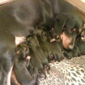 Šťastne sme sa narodili 13.apríla