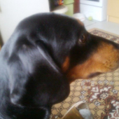 Profil...
