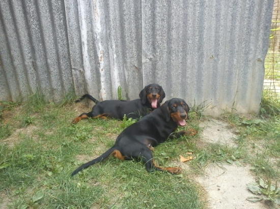 Odpočinok v chládku