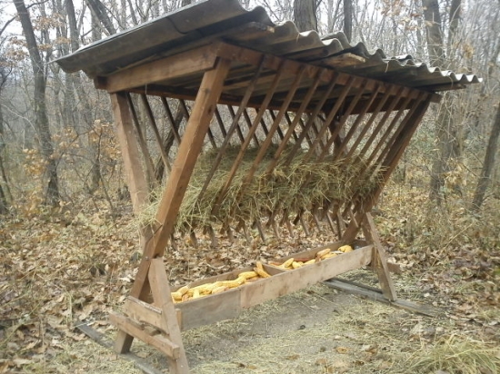 V núdzi poznáš poľovníka...