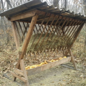 V núdzi poznáš poľovníka...