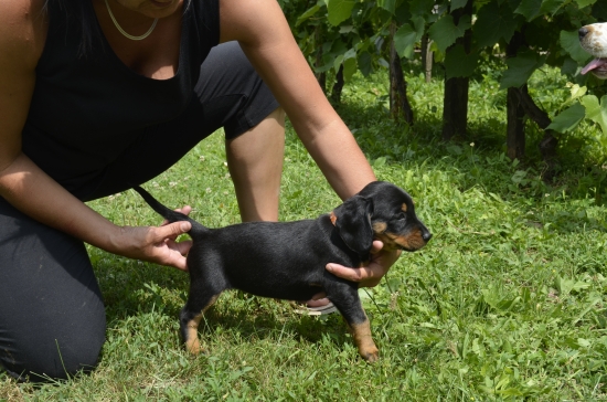 Mám už 6 týždňov