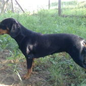 Bude to dobré spojenie?