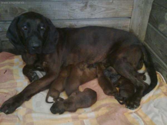 ďalšie prírastky v rodine