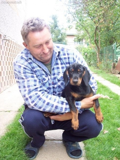 Amorko, z prvého vrhu