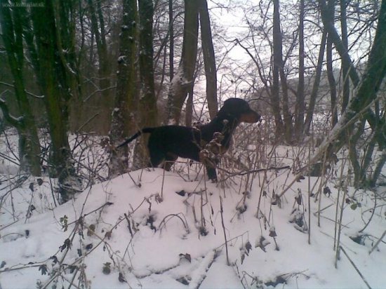 Bystra z Evkinho dvora