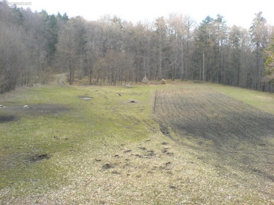 Pohľad z môjho posedu.