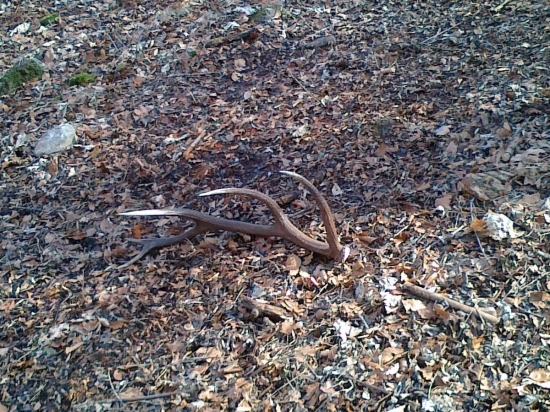 1. čerstvý tento rok