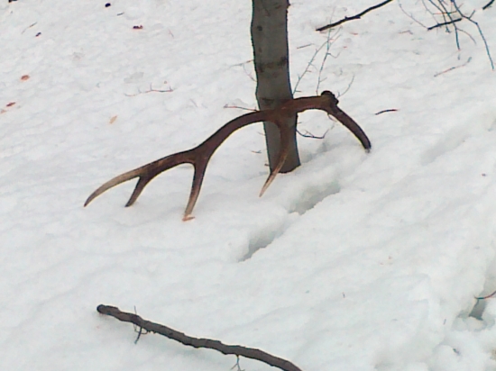 prvý v tejto sezóne 1/2013