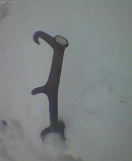 3,5 kg