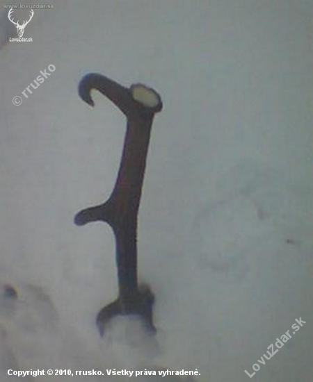 3,5 kg