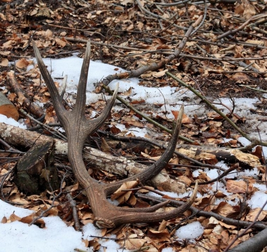 konecne cerstvy ..2kg