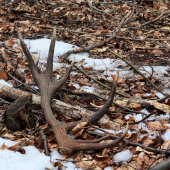 konecne cerstvy ..2kg