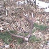 dnes najdeny (fotene mobilom)1.9vaha