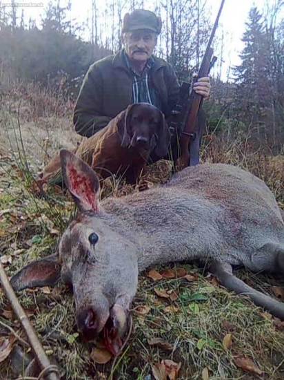 Úspešne dohľadaná