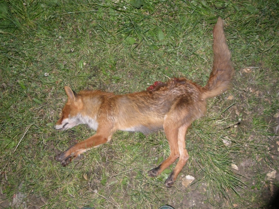 Včera večer