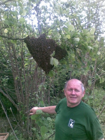 Chytanie roja v tričku Lovu zdar
