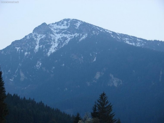 Choč
