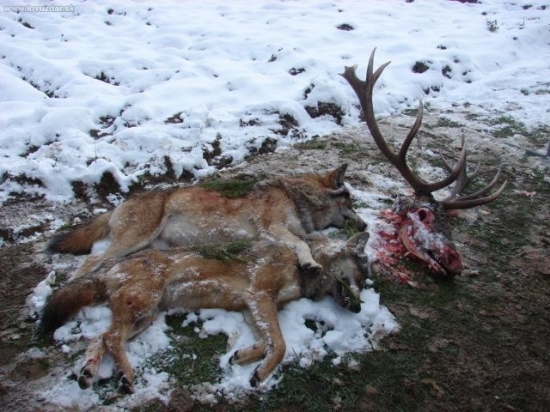 Spomienka na rok 2007