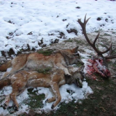 Spomienka na rok 2007