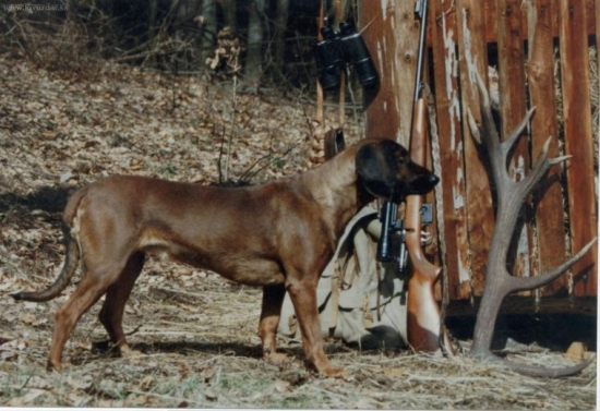Erotica z Hruštína